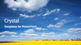  Presentation with global warming - Cool new PPT theme with yellow canola field in sunlight backdrop and a teal colored foreground