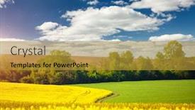  Presentation with agrarian - Slide set consisting of yellow-canola-field background and a gold colored foreground