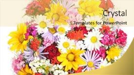  Presentation with bright white - PPT theme having cake celebrating 50th birthday background and a  colored foreground.