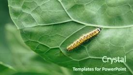  Presentation with yellow green - Colorful slide deck enhanced with yellow caterpillar on green leaf backdrop and a forest green colored foreground