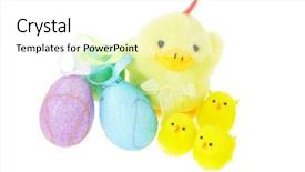  Presentation with chicks - Colorful PPT layouts enhanced with yellow chicks with mother hen backdrop and a  colored foreground