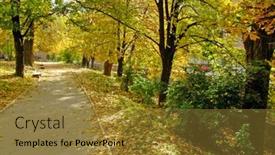  Presentation with park - Amazing presentation theme having yellow-colors-in-park backdrop and a  colored foreground