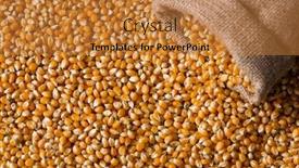  Presentation with grain corn - Beautiful PPT layouts featuring yellow corn grain close up top view backdrop and a gold colored foreground