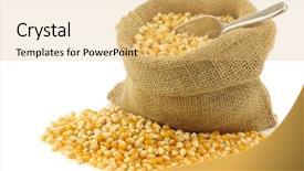  Presentation with grain corn - Theme featuring yellow corn grain background and a yellow colored foreground