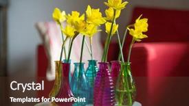  Presentation with yellow - Slide set enhanced with yellow daffodils in colorful vase background and a  colored foreground