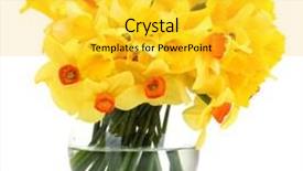  Presentation with yellow - Amazing theme having yellow daffodils in transparent vase backdrop and a  colored foreground