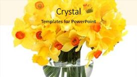  Presentation with yellow narcissus or daffodil flowers - Amazing slide deck having yellow daffodils in transparent vase backdrop and a yellow colored foreground
