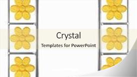  Presentation with picture frame - Colorful PPT theme enhanced with art deco set few - yellow daisy picture frame backdrop and a blonde colored foreground