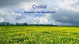  Presentation with dandelion - Presentation having yellow dandelion field background and a sky blue colored foreground