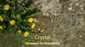  Presentation with road yellow - Presentation theme featuring yellow-dandelions-flowers-near background and a tawny brown colored foreground