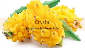  Presentation with dragon - Slide set consisting of yellow-dragon-fruits-with-green background and a  colored foreground