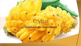  Presentation with dragon - PPT theme with yellow-dragon-fruits-with-green background and a gold colored foreground