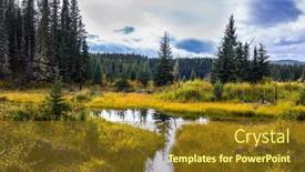  Presentation with wetland - PPT layouts having yellow-dry-grass-around background and a tawny brown colored foreground