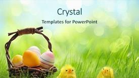  Presentation with easter basket - Amazing presentation theme having yellow easter chicks and basket backdrop and a cool aqua colored foreground