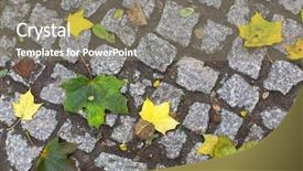  Presentation with yellow brick road - Presentation theme having yellow fallen leaves background and a gray colored foreground