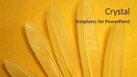  Presentation with sage feathers - Beautiful PPT layouts featuring yellow feathers on a yellow backdrop and a gold colored foreground