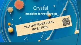  Presentation with viral - Presentation theme featuring yellow-fever-viral-infection-transmitted background and a ocean colored foreground