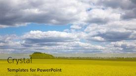  Presentation with forage - Theme with yellow-field-of-flowering-rapeseed background and a gold colored foreground
