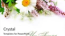  Presentation with flowers border - Cool new presentation theme with yellow floral border - bouquet of wild flowers backdrop and a white colored foreground