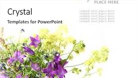  Presentation with flowers border - Presentation theme enhanced with yellow floral border - bouquet of wild flowers background and a white colored foreground