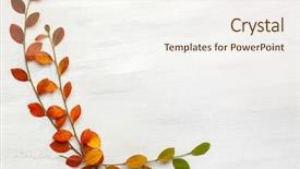  Presentation with leaves flat lay - Beautiful slide deck featuring yellow floral border - branches with colorful autumn leaves backdrop and a cream colored foreground