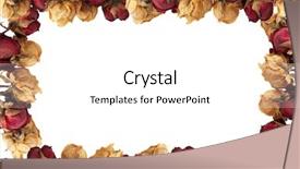  Presentation with rose petal corner frame - Beautiful presentation design featuring yellow floral border - empty picture frame from dry backdrop and a white colored foreground