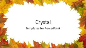  Presentation with multicolored autumn leaves orange yellow red - Amazing PPT theme having yellow floral border - frame with colored autumn maple backdrop and a white colored foreground
