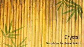  Presentation with golden light - Beautiful theme featuring yellow floral border - light golden bamboo background great backdrop and a  colored foreground
