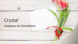  Presentation with colorful flower - Theme featuring yellow flower festival - colorful tulip bouquet and blank background and a sky blue colored foreground