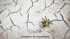  Presentation with climate change - Cool new slides with yellow flower growing in cracked land climate change global warming backdrop and a light gray colored foreground