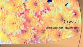  Presentation with yellow color - Slide deck enhanced with yellow flower nature background ultraviolet background and a yellow colored foreground