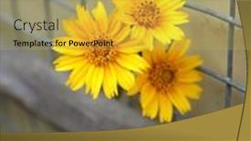  Presentation with garden - Slide deck having yellow-flower-of-garden-coreopsis background and a yellow colored foreground