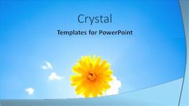  Presentation with bright yellow - Slide set enhanced with yellow-flowers-against-the-sky background and a cyan colored foreground