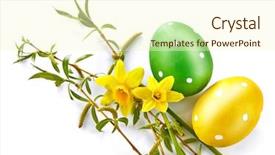  Presentation with white flowers - Colorful slide deck enhanced with yellow flowers and branch willow backdrop and a cream colored foreground