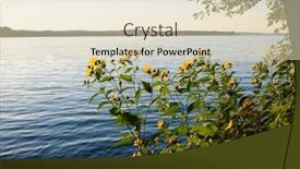  Presentation with flowers - Slide set with yellow-flowers-beside-a-lake background and a soft green colored foreground