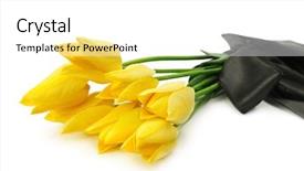  Presentation with funeral - Slides enhanced with burial ceremony - bouquet of yellow flowers background and a white colored foreground