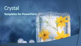  Presentation with ice frozen - Audience pleasing slides consisting of yellow flowers frozen in ice backdrop and a ocean colored foreground