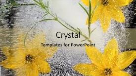  Presentation with ice frozen - PPT layouts consisting of yellow flowers frozen in ice background and a  colored foreground