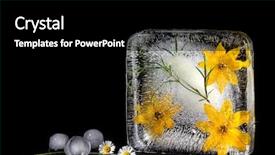  Presentation with ice frozen - Slide deck featuring yellow flowers frozen in ice background and a  colored foreground