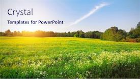  Presentation with blue yellow - Presentation theme consisting of yellow-flowers-hill-and-blue background and a sky blue colored foreground