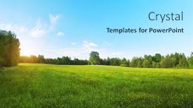  Presentation with hill - Slides featuring yellow-flowers-hill-at-sunset background and a arctic colored foreground