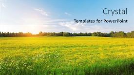  Presentation with hill - PPT theme featuring yellow-flowers-hill-at-sunset background and a light blue colored foreground