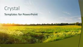  Presentation with hill - Beautiful PPT layouts featuring yellow-flowers-hill-at-sunset backdrop and a sky blue colored foreground