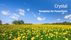  Presentation with hill - PPT theme consisting of yellow flowers hill under blue cloudy sky background and a teal colored foreground
