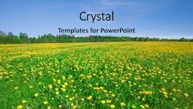  Presentation with blue yellow - Cool new theme with yellow flowers hill under blue backdrop and a light blue colored foreground