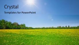  Presentation with blue and yellow - PPT layouts enhanced with yellow flowers hill under blue background and a light blue colored foreground