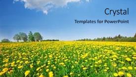  Presentation with blue plain - Slide deck having yellow flowers hill under blue background and a light blue colored foreground