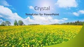  Presentation with blue yellow - Beautiful slide deck featuring yellow flowers hill under blue cloudy sky backdrop and a light blue colored foreground