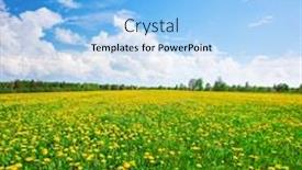  Presentation with blue yellow - PPT theme consisting of yellow-flowers-hill-under-blue background and a light blue colored foreground