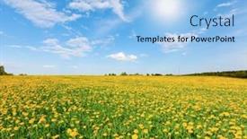  Presentation with blue yellow - Slide deck with yellow-flowers-hill-under-blue background and a light blue colored foreground